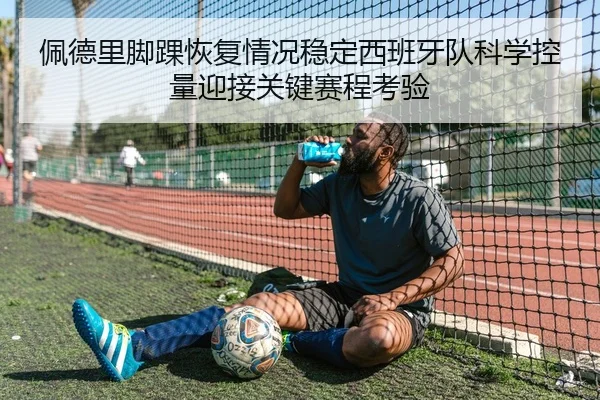 佩德里脚踝恢复情况稳定西班牙队科学控量迎接关键赛程考验